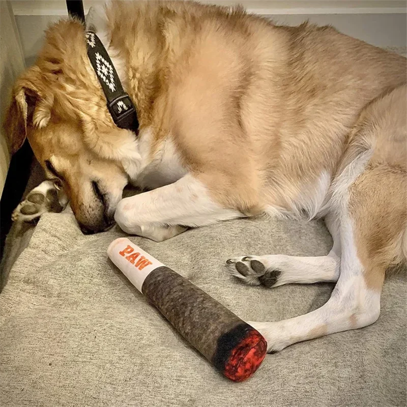 Plush Squeaky Toy for Small, Medium, and Large Dogs