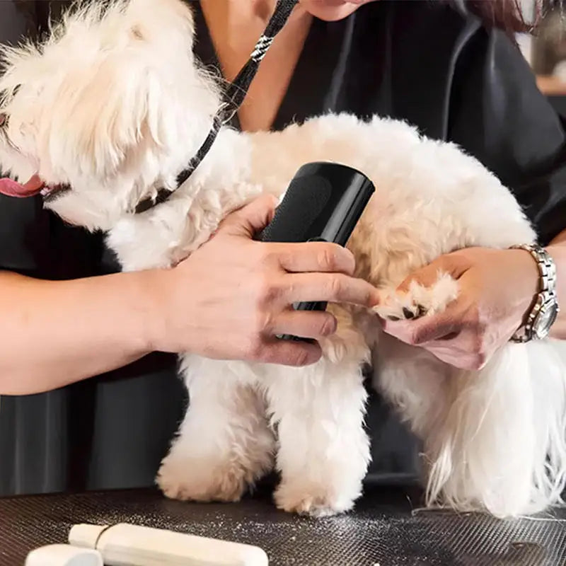 Professional Pet Deshedding Brush Multifunctional Pet Groom Brush Ergonomic
