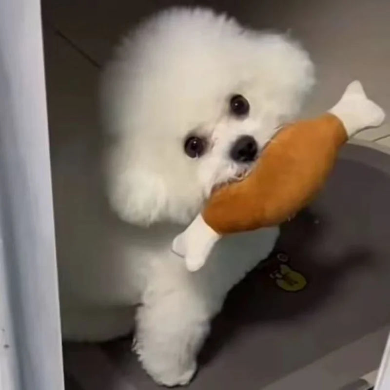 Puppy Squeaker Squeaky Plush Bone Dog Toy