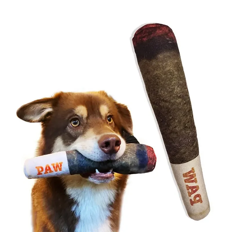 Plush Squeaky Toy for Small, Medium, and Large Dogs