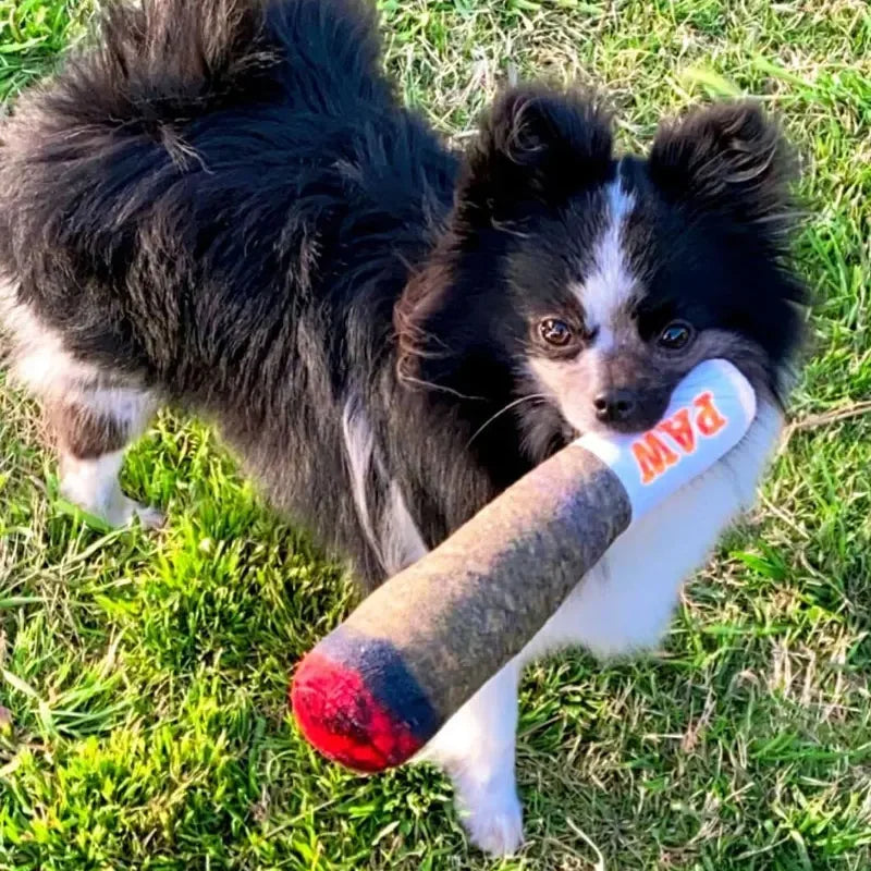Plush Squeaky Toy for Small, Medium, and Large Dogs